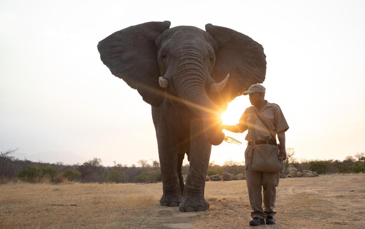 Jabulani Safari Villa Kapama Game Reserve Eksteriør billede