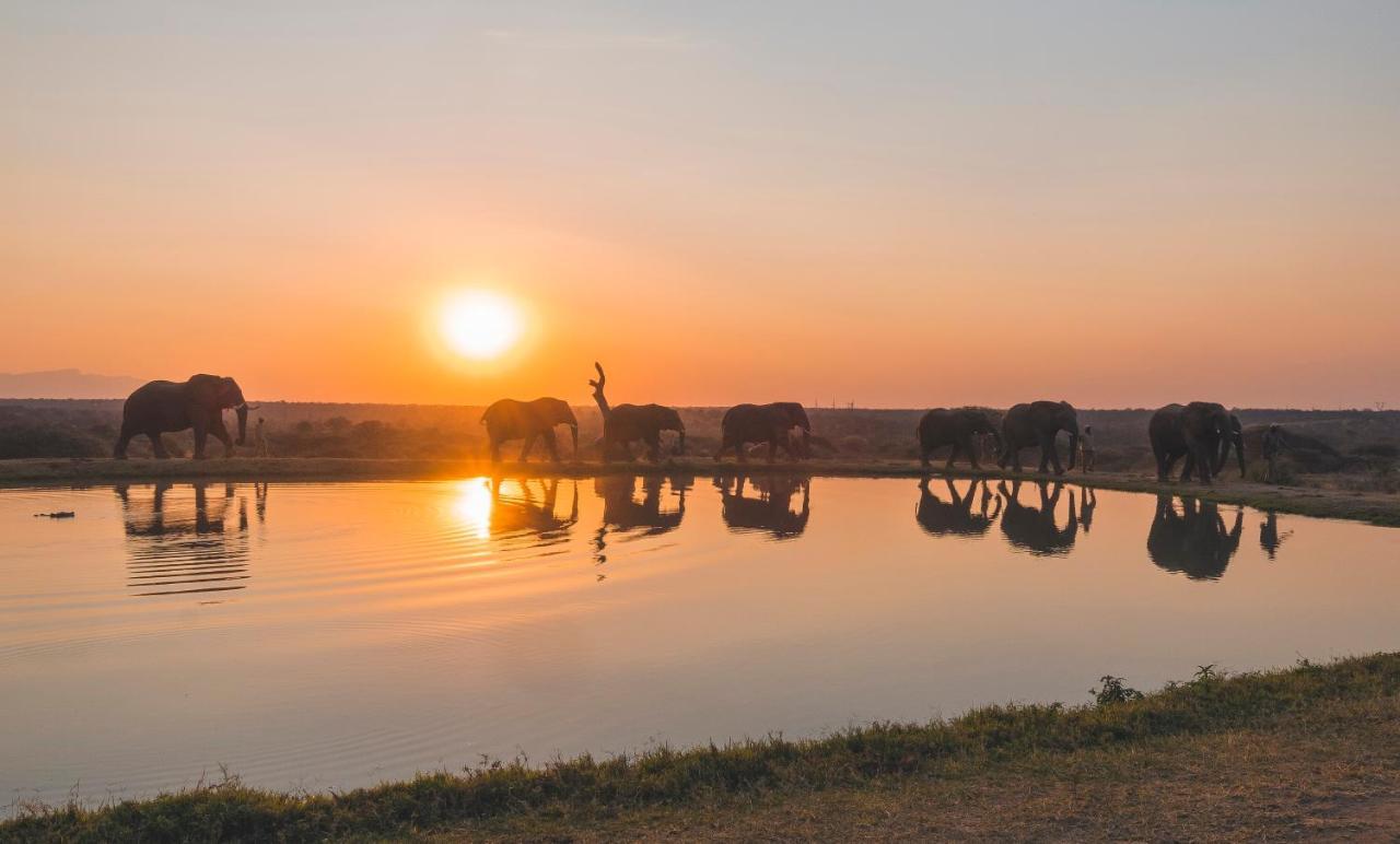 Jabulani Safari Villa Kapama Game Reserve Eksteriør billede
