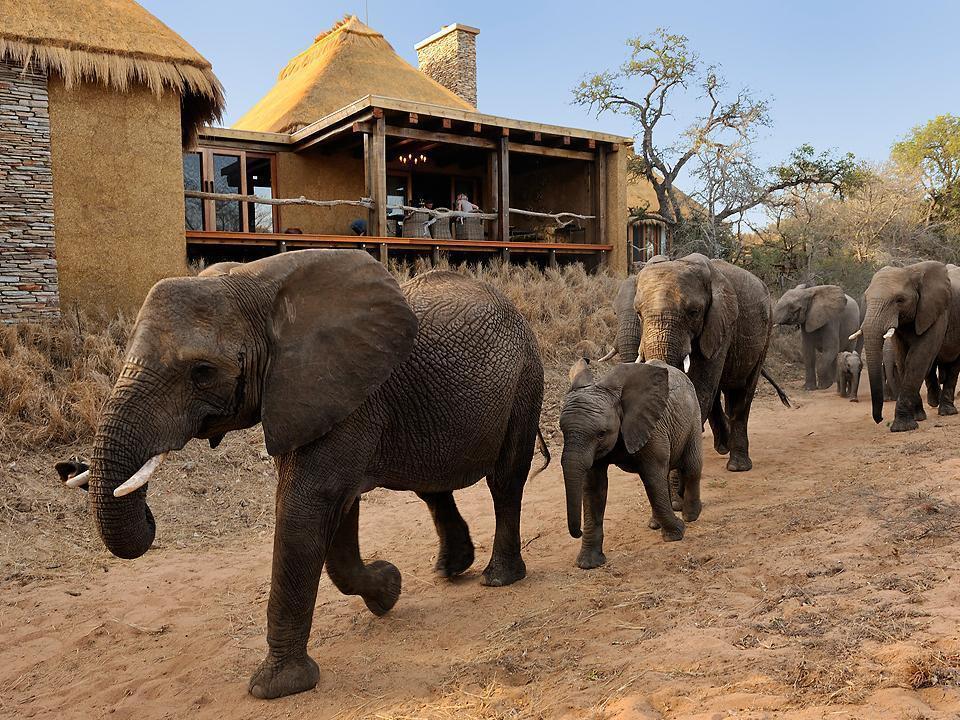 Jabulani Safari Villa Kapama Game Reserve Eksteriør billede
