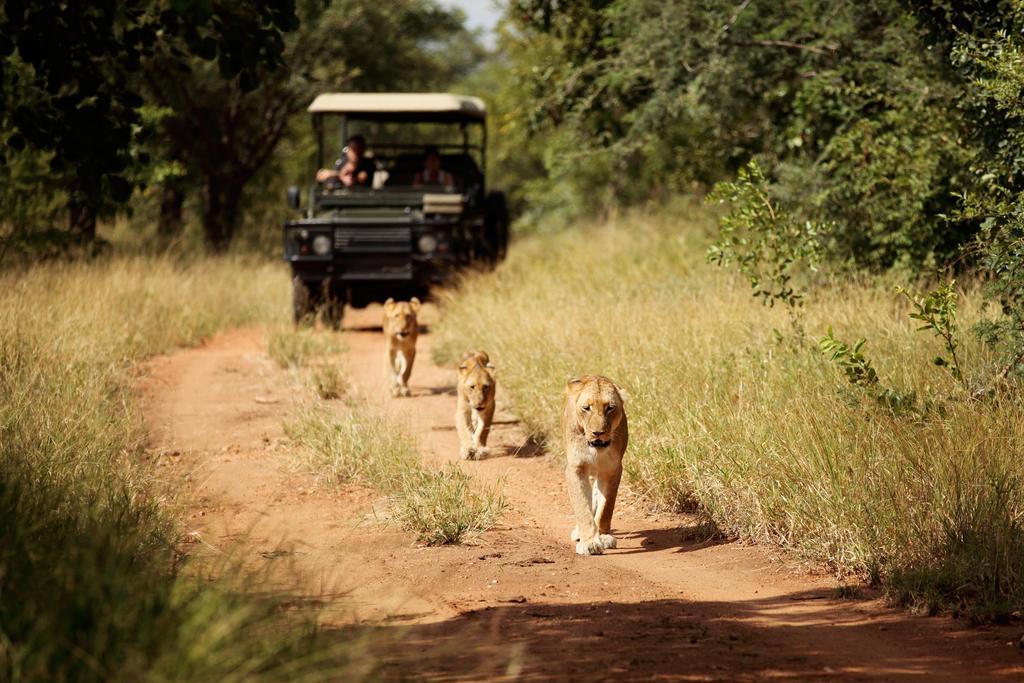 Jabulani Safari Villa Kapama Game Reserve Eksteriør billede