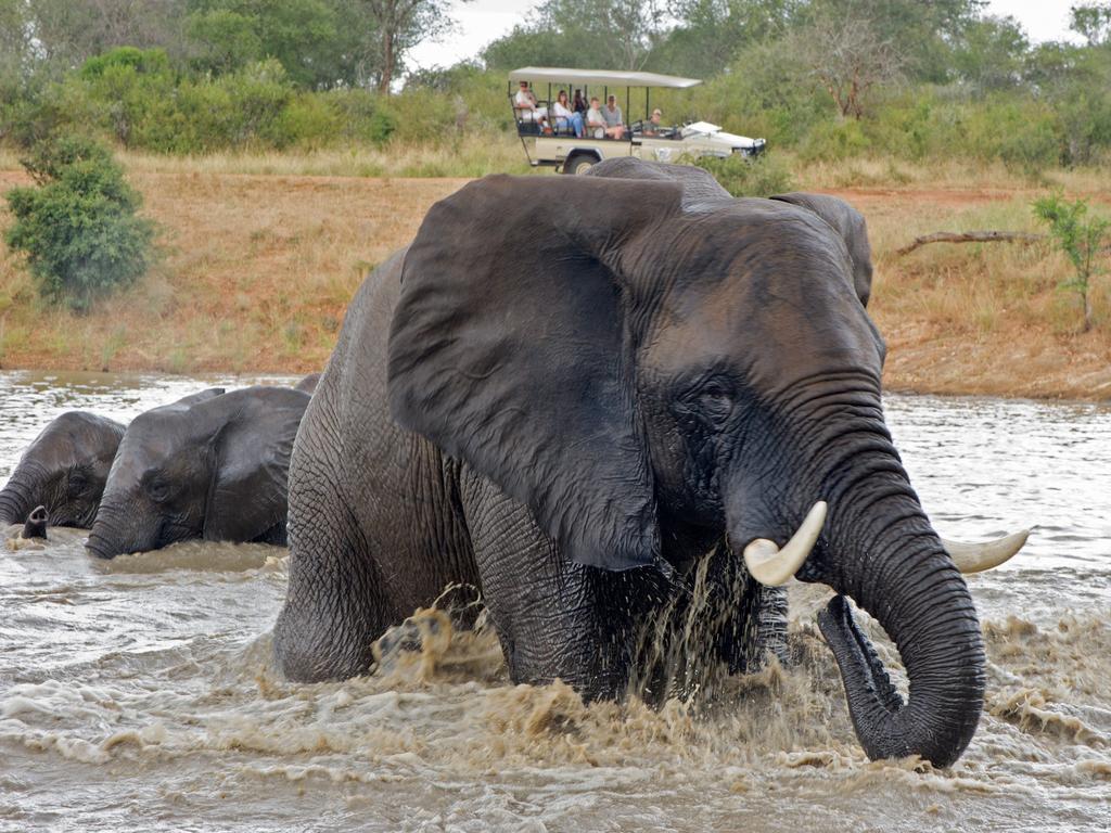 Jabulani Safari Villa Kapama Game Reserve Eksteriør billede