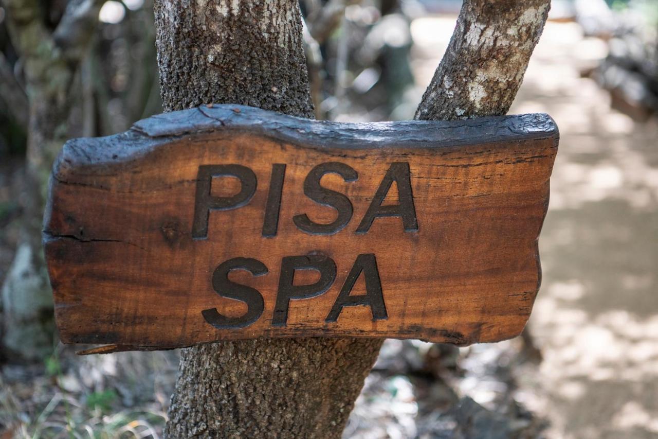 Jabulani Safari Villa Kapama Game Reserve Eksteriør billede